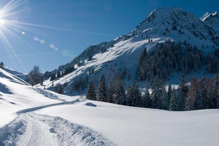 Faulbaumgartenalm - Naturrodelbahn