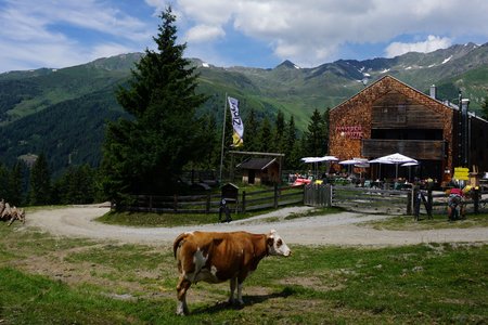 Naviser Hütte (1767m) über die Weirichalm