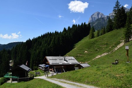 Mussbachalm & Aueralm Rundwanderung bei Hinterthal