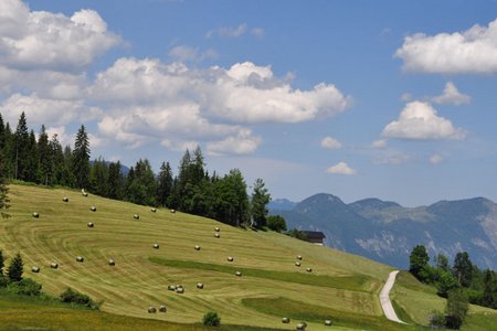 Rattenberg – Alpbachtal – Bischofer Alm – Holzalm