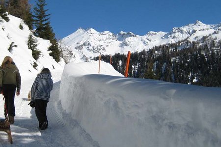 Peeralm - Naturrodelbahn