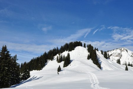 Karkopf (1507 m) von Kössen