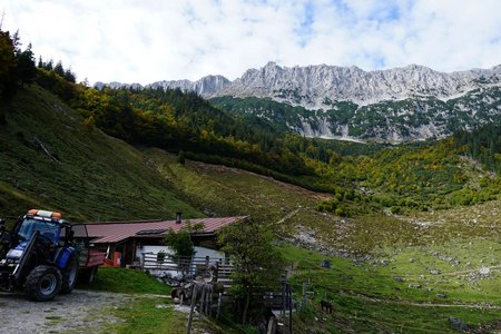 Hintersteiner See - Kaiseralm Runde von Scheffau