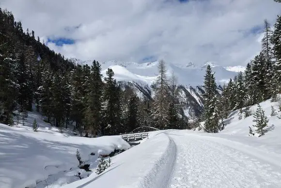 Vinschgau-Matsch, Langtaufers, Reschen, Rojen