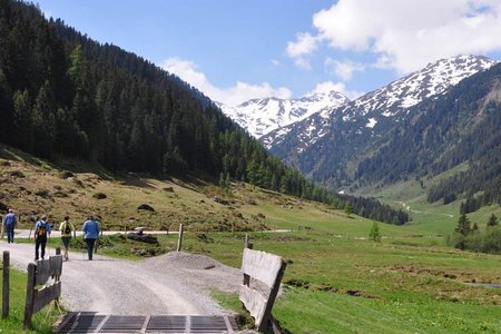 Hopfgarten - Tiefentalalm