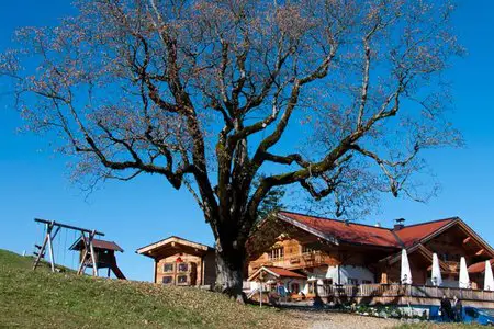 Aschinger Alm von Durchholzen