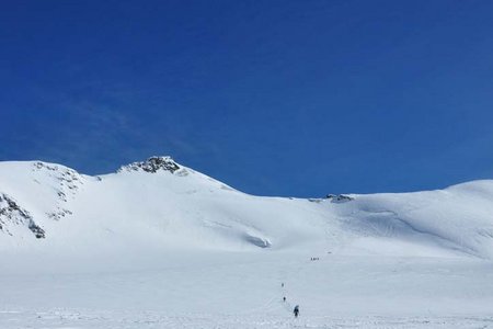 Monte Cevedale (3769 m) aus dem Martelltal