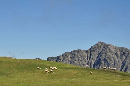 Freihut (2616 m) von St. Sigmund