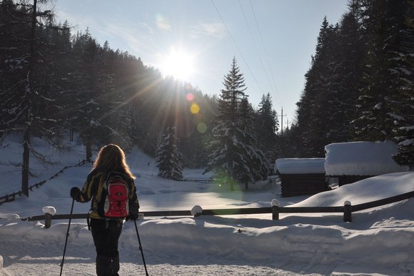 Besondere Schneeschuh - Wanderregionen in den Alpen