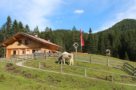 Matreier Ochsenalm, 1558 m - bei Maria Waldrast, Wipptal