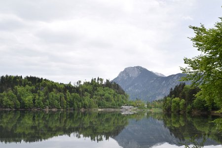 Rund um den Hechtsee