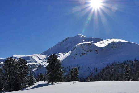 Piz Daint (2968 m) vom Gasthof Buffalora