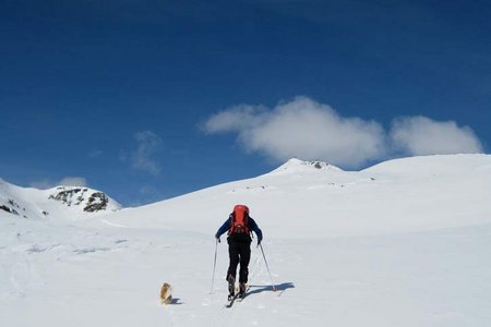 Gaishorn (2514 m) von Schalders