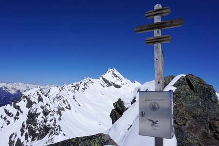 Hennesiglspitze (3131m) von Melag