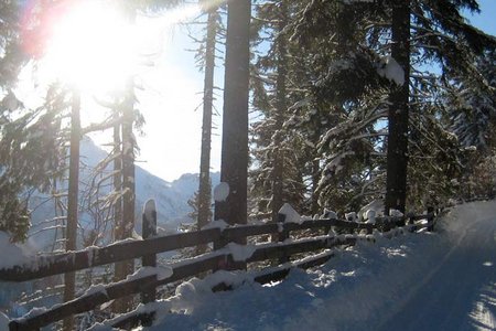 Nösslachhütte - Naturrodelbahn