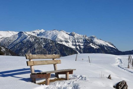 Feilalm-Feilkopf (1372/1562 m) von Pertisau