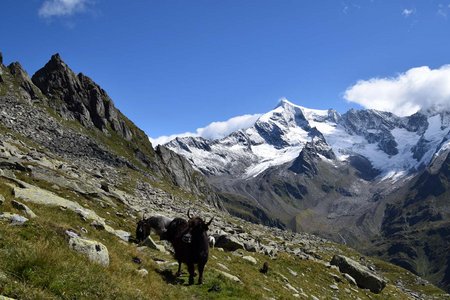 Lausitzer Höhenweg – 1 Tagestour