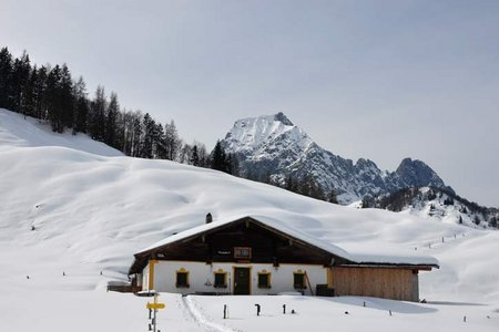 Metzgeralm - Bacheralm