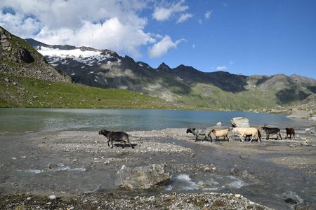 Simonysee (2361 m) von der Essener Rostocker Hütte