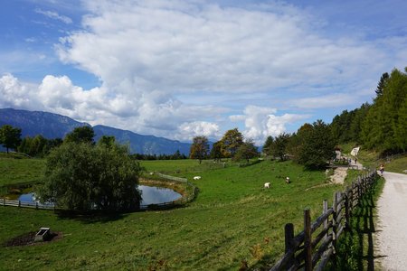 Cisloner Alm von Kaltern an der Weinstraße