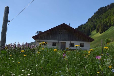 Unterwiesenalm (1088 m) von Erl