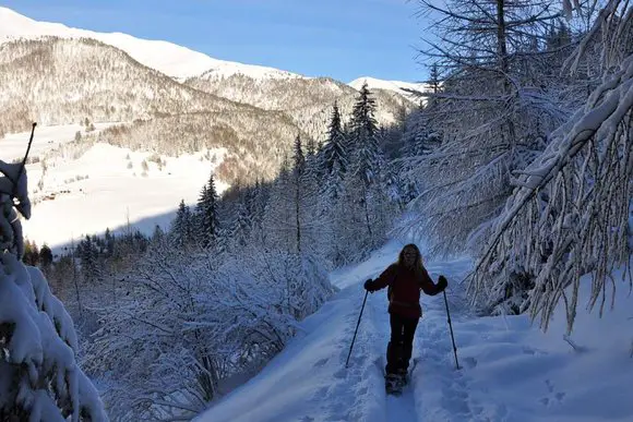 Eisacktal-Wipptal, Ridnauntal, Pflerschtal, Pfitschertal