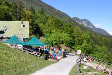 Innsbruck Mühlau - Arzler Alm 