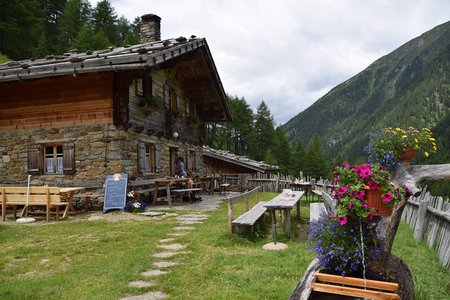 Wannser Alm (1641 m) vom Wannserhof in Walten