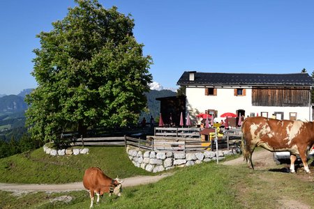 Wörgl – Niederau – Möslalm Rundtour