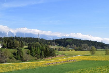 Goarmbichl- und Viller Kopf Rundwanderung