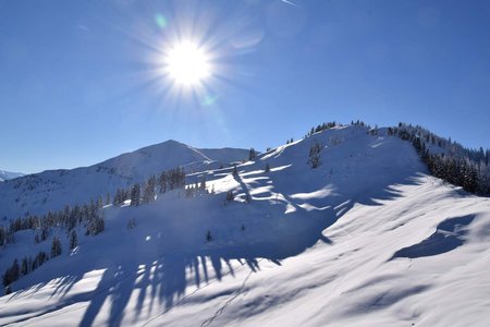 Skitourenlehrpfad Dienten auf das Grünköpfl