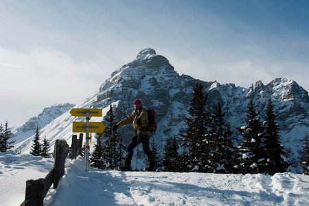 Gleinserjöchl (1879 m) von Hochserles