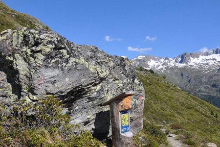 Alpenblumenweg Oberseit