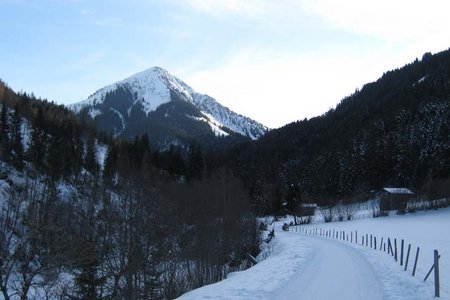 Brixenbachalm - Naturrodelbahn