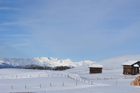 Hochmoor - Rundwanderung von der Starkenfeldhütte