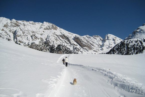 Eisacktal-Villnösstal, Lüsental, Brixen, Klausen