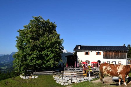 Möslalm über den Riederberg von Niederau