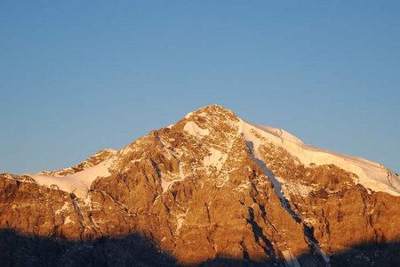 Ortler (3905 m) von der Payerhütte