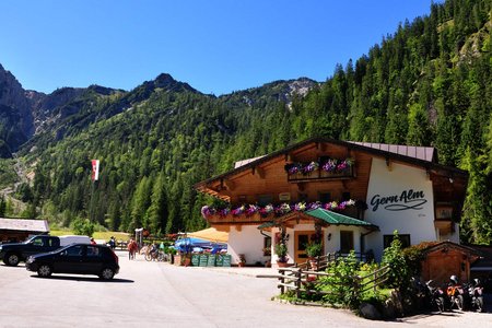 Alpengasthof Gern Alm - Pertisau