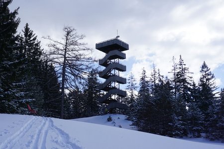 Grünberg (1497m) von der Grünberg-Alm