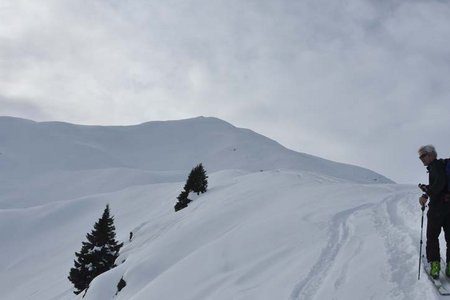 Bodnerberg - Pfaffenberg (2074/2372 m) über die Allrissalm