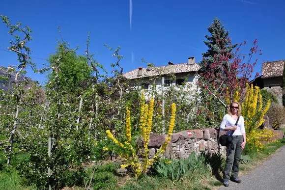 Südtiroler Unterland, Kaltern, Eppan