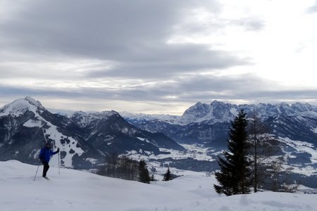 Rauhe-Nadel-Kopf im Kaiserwinkl vom Mühlberg