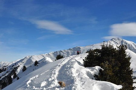 Faltegartenköpfl (2184 m) von Marlstein