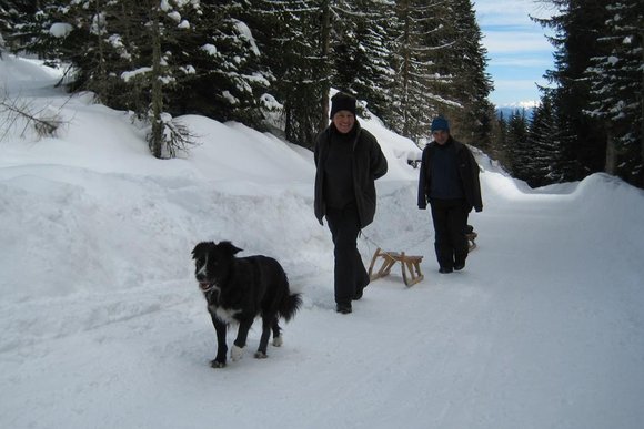 Pustertal-Kronplatz, Terenten, Pfalzen