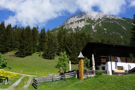 Karrer Alm von Roppen