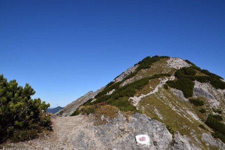 Mondschein Kopf (1921 m) von der Gern Alm