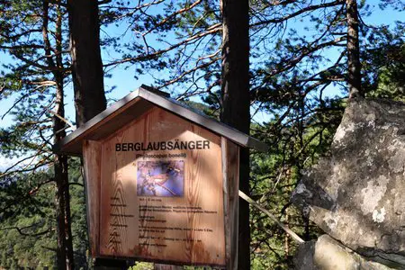 Zirler Vogellehrweg mit Höhenpromenade