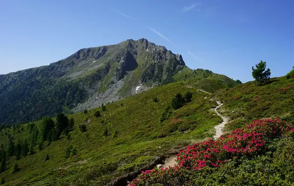 Wandern im Antholzertal