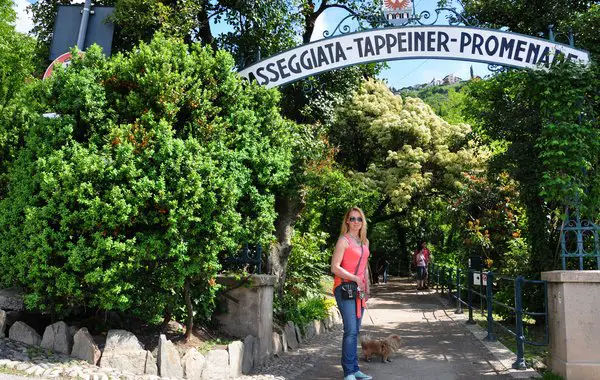 Unterwegs auf der Tappeiner Promenade